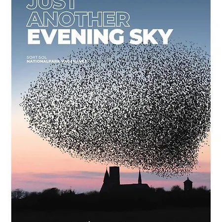 Appartement Sonderport Bed & Kitchen Ribe