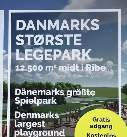 Sonderport Bed & Kitchen * リーベ