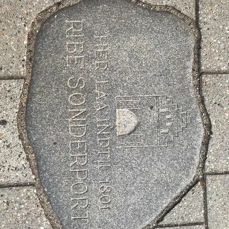 Sonderport Bed & Kitchen